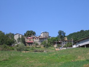 tn fabio cascina