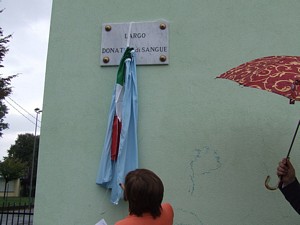 tn foto31