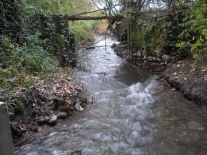 tn 07 presamodulata