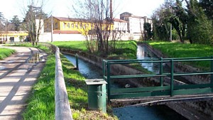 tn 06 rasica