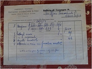 tn 1953consegna