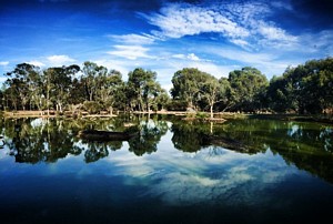 tn 22 geelong