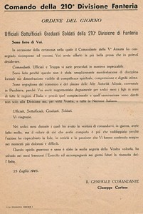 tn immagine V
