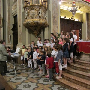 tn verdello