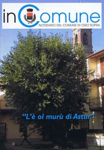 tn incomune