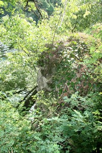 tn ponte5