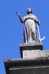 tn speranza